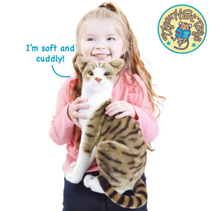 Amy The American Shorthair Cat | 14 Inch Stuffed Animal Plush | By TigerHart Toys
