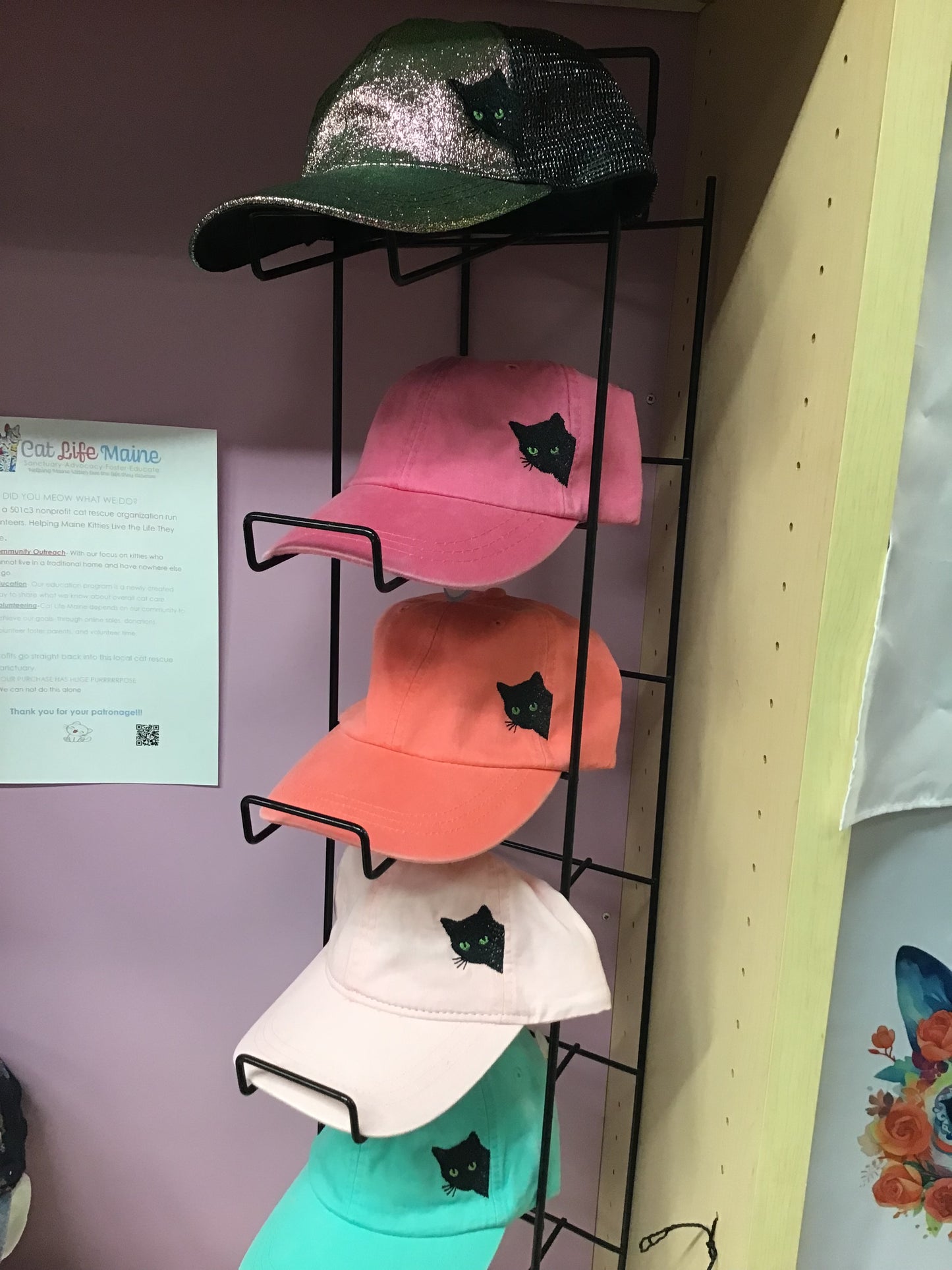 Caps-CreeperCats