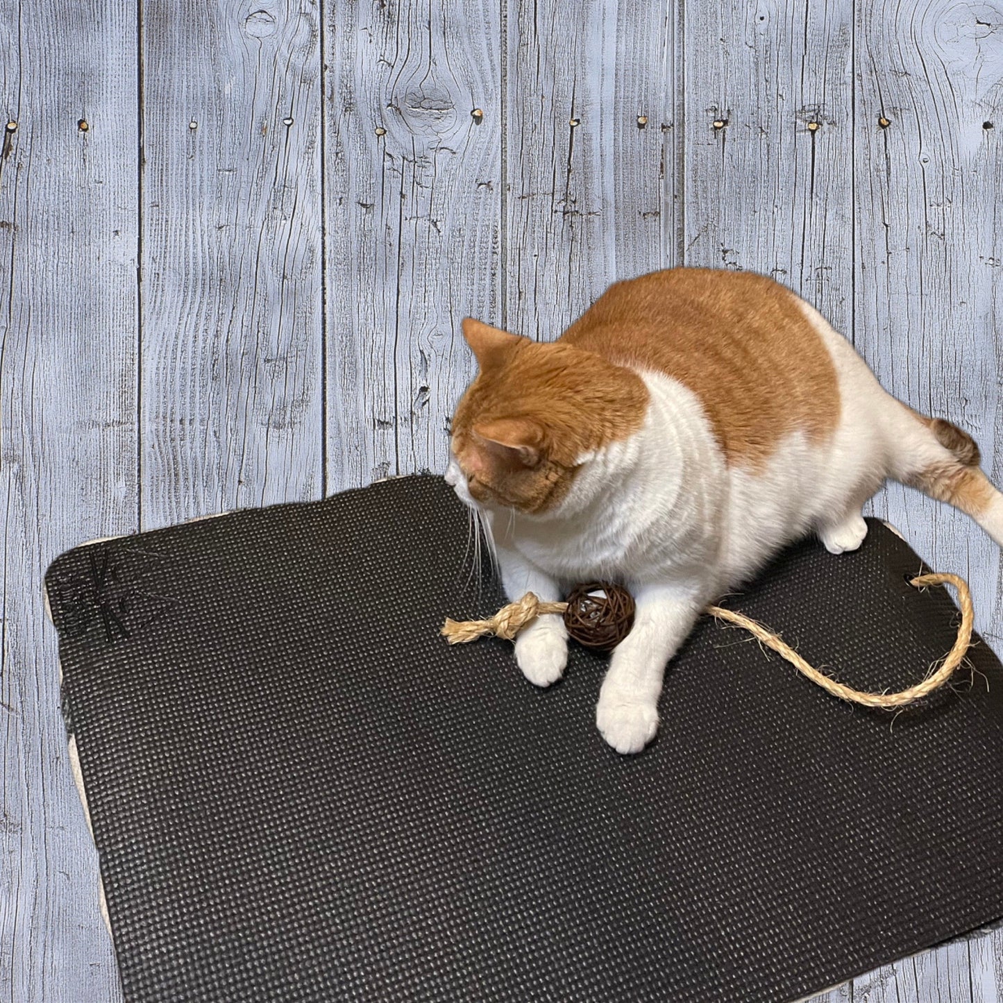 Yoga Mat For Your Cat by Feline Yogi