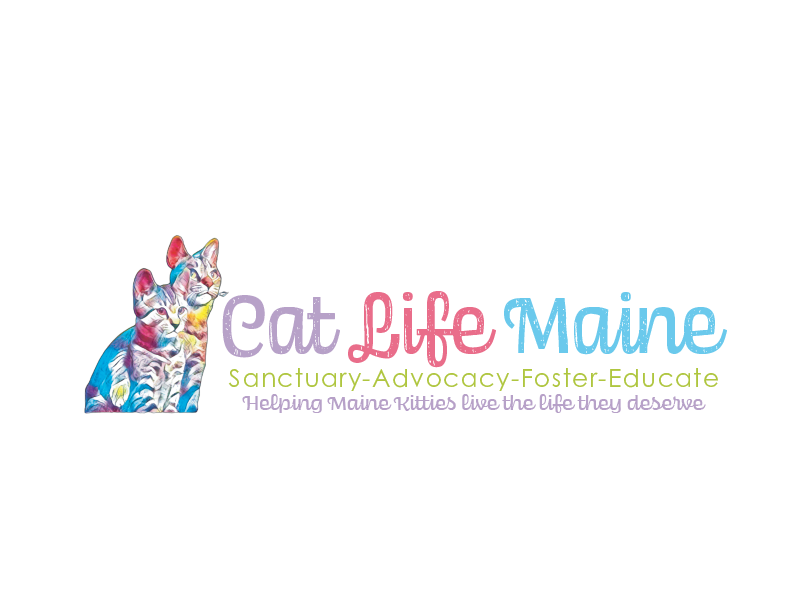 Cat Life Maine Gift Shop Gift Card