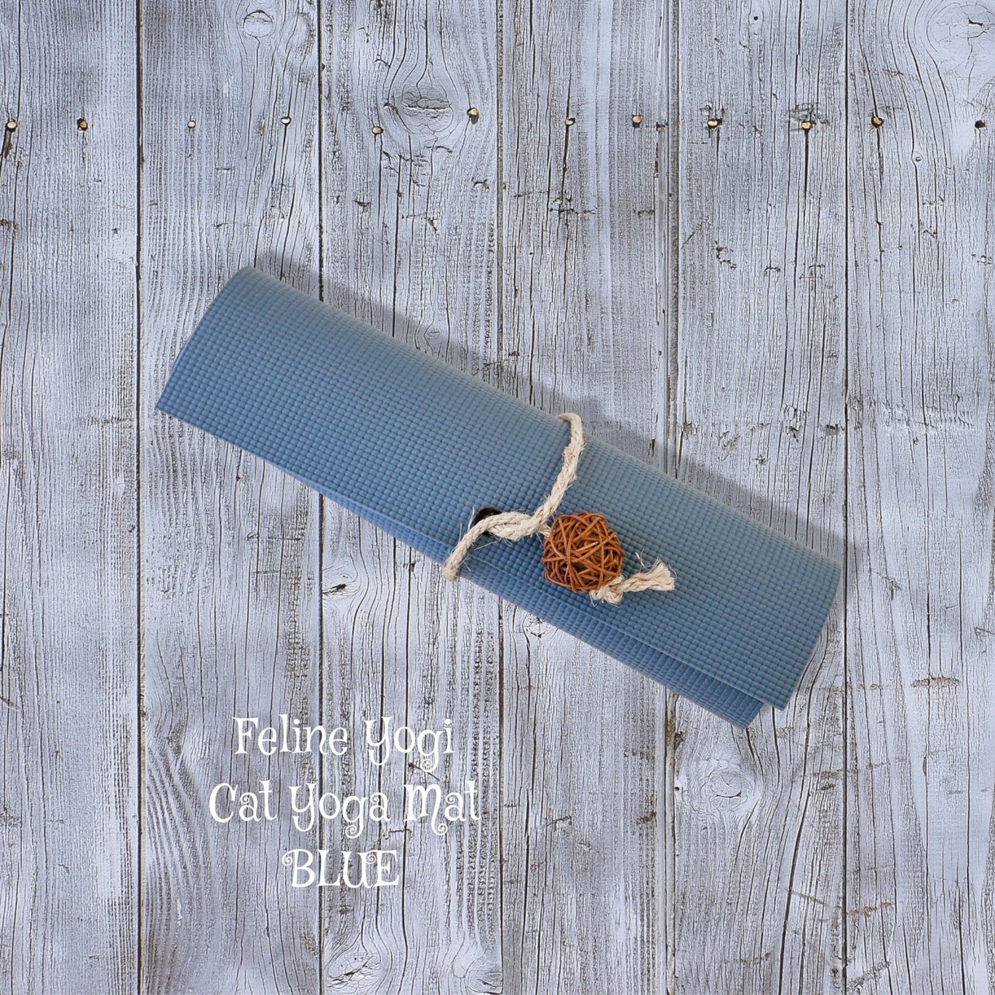 Yoga Mat For Your Cat by Feline Yogi