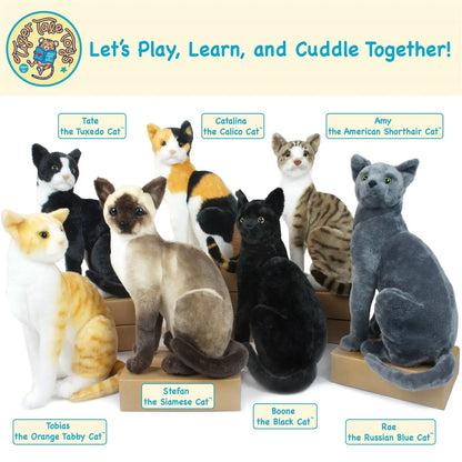 Stuffed Cats