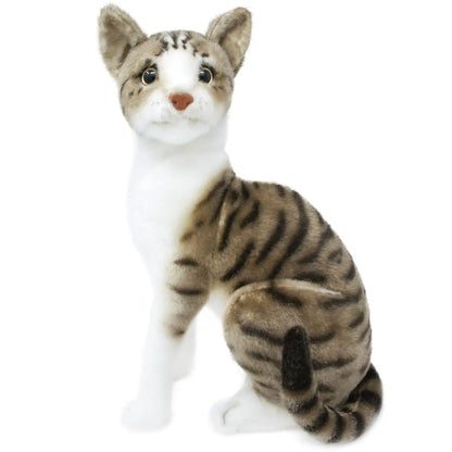 Stuffed Cats
