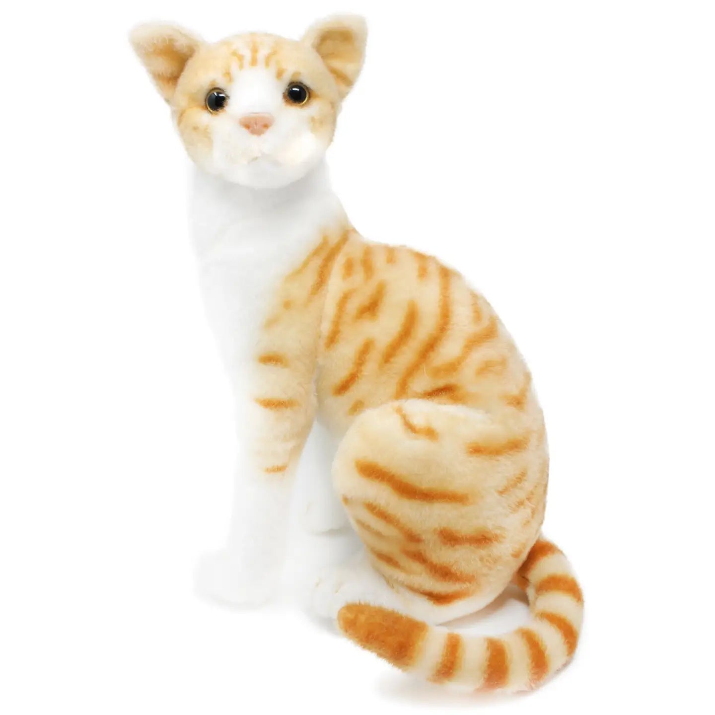 Stuffed Cats