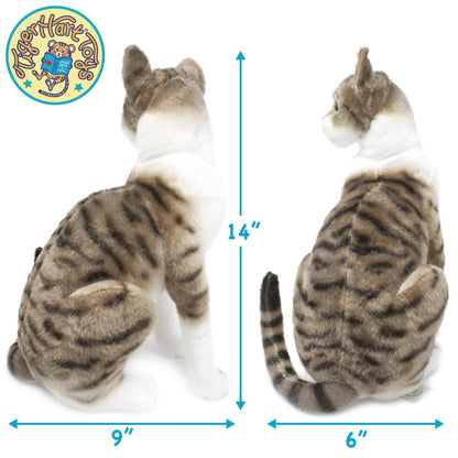 Amy The American Shorthair Cat | 14 Inch Stuffed Animal Plush | By TigerHart Toys